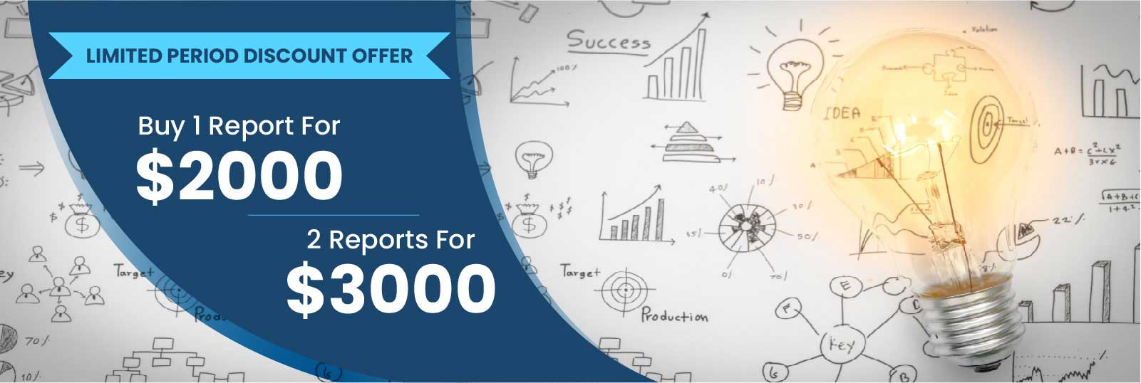 Limited Period Discount Offer - Stallion Market Research