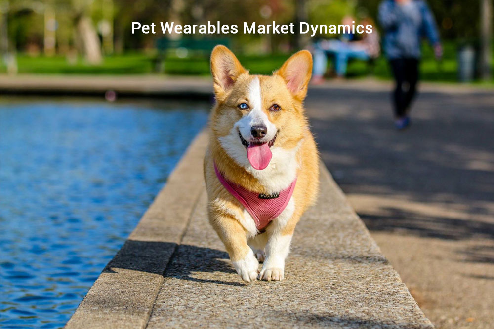 Pet Wearables Market Dynamics