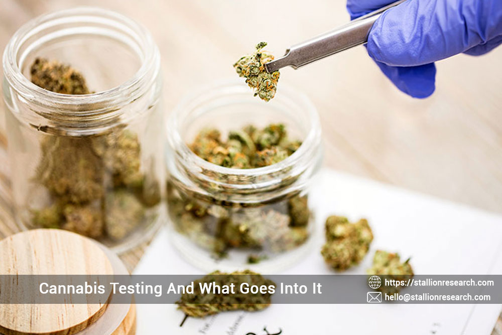 Cannabis Testing And What Goes Into It